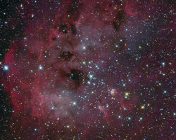 IC 410 and NGC 1893