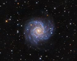 M74 Galaxy