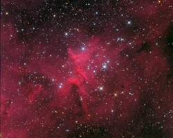 Melotte 15 in IC1805