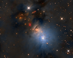 NGC1333 Region