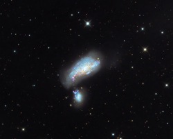 NGC 4490 - Cocoon Galaxy
