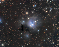 NGC7129 Nebula Complex
