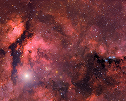 Sadr Area and NGC6914