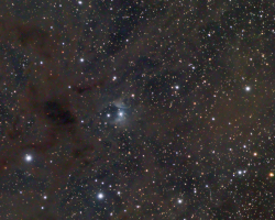 Vdb16 Diffuse Nebula on Dust